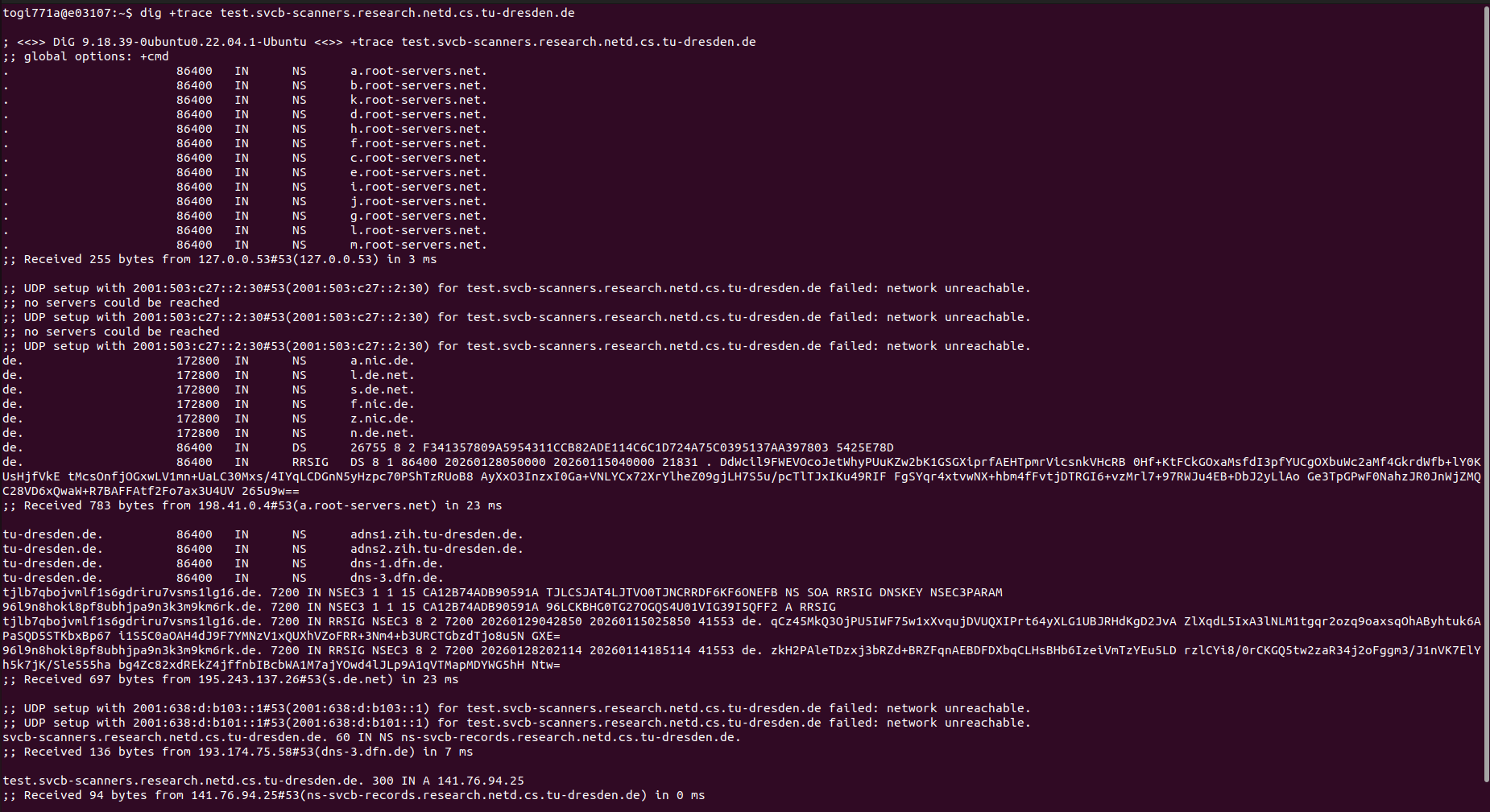 External DNS resolution using dig+trace