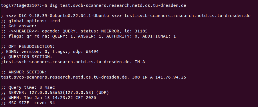 External DNS resolution using dig